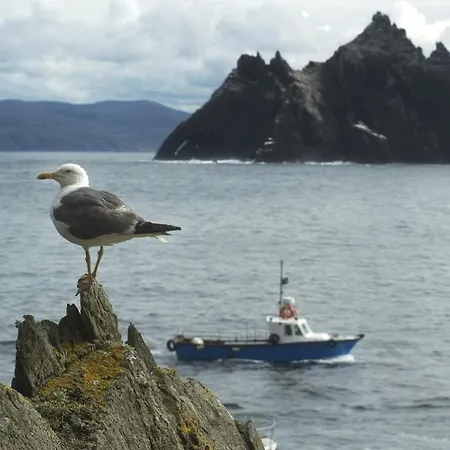 Vendégház Abbey Cill Airne