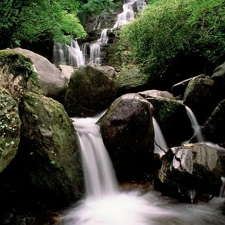 Gasthuis Abbey Killarney