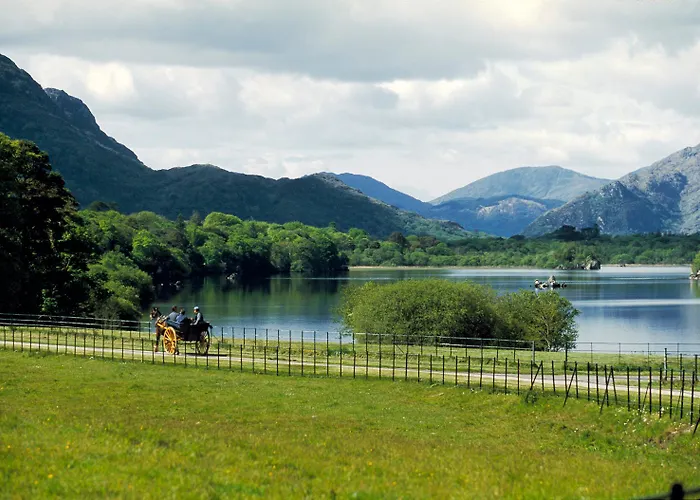 Abbey キラーニー