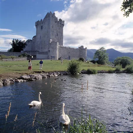 Abbey Killarney