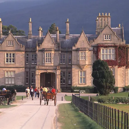 Abbey Killarney